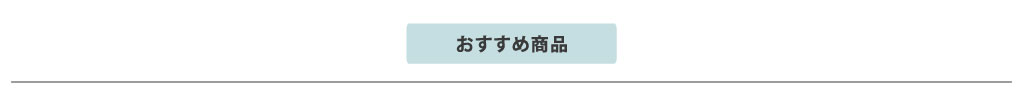 おすすめ商品 今月のオススメ商品です