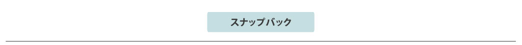 スナップバック スナップバックの一覧をご覧になれます